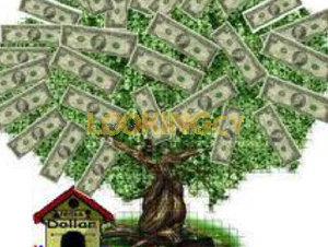 Loans A 100% private guarantee of 3,000 euros or $
